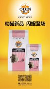 奧丁精品幼貓糧閃耀登場！?。?></div>
                <div>
                    <h2>奧丁精品幼貓糧閃耀登場?。?！</h2>
                    <div><span>2019-06-27

</span><span>查看更多</span></div>
                </div>
            </a><li>
             <a href=